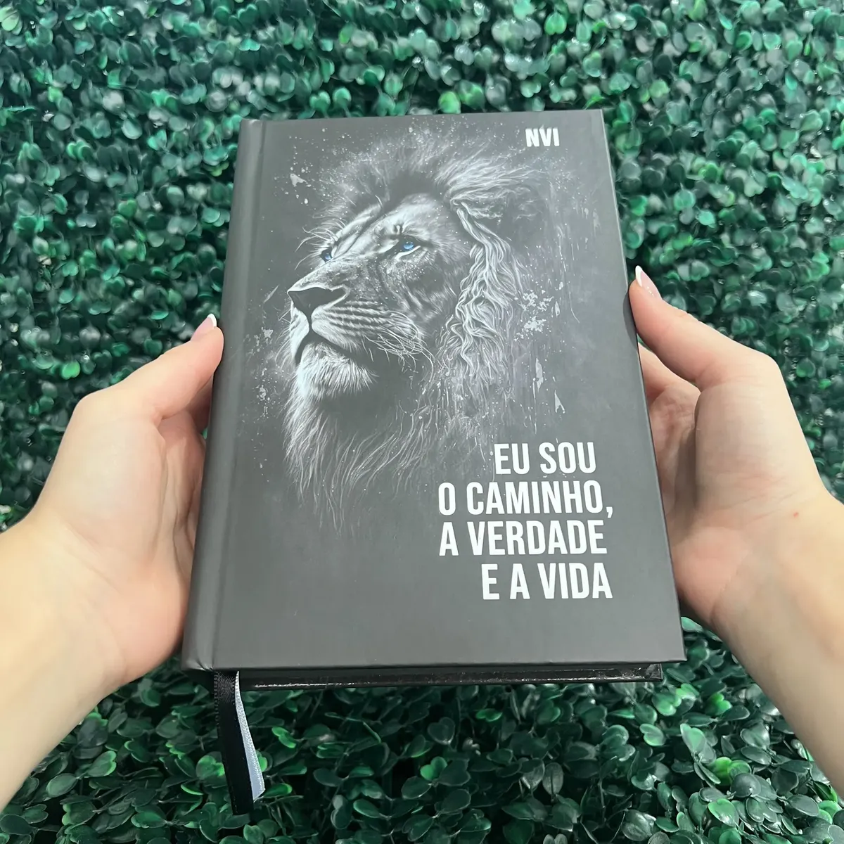 Bíblia Sagrada Nvi Leão Preta Evangélica Capa Dura Índice Letra Média Jovem Fé Palavras De Jesus Em Destaque Nova Versão Internacional Hdc Herdeiro Da Coroa