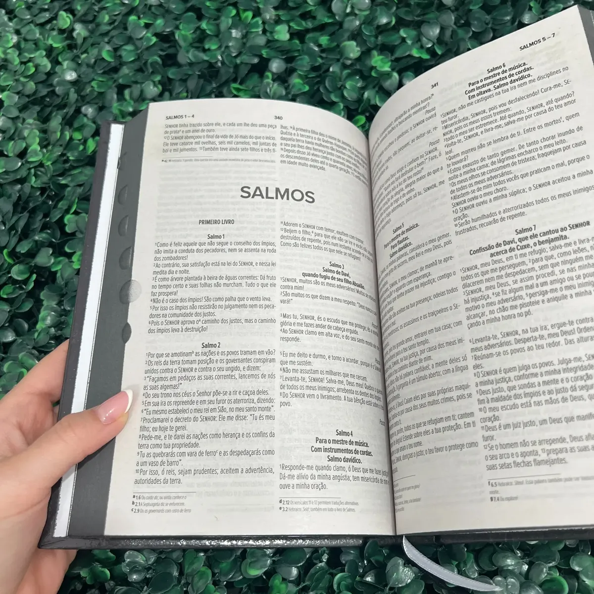 Bíblia Sagrada Nvi Leão Preta Evangélica Capa Dura Índice Letra Média Jovem Fé Palavras De Jesus Em Destaque Nova Versão Internacional Hdc Herdeiro Da Coroa - Image 3